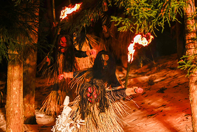 厄を祓い、福をもたらす来訪神「なまはげ」が躍動