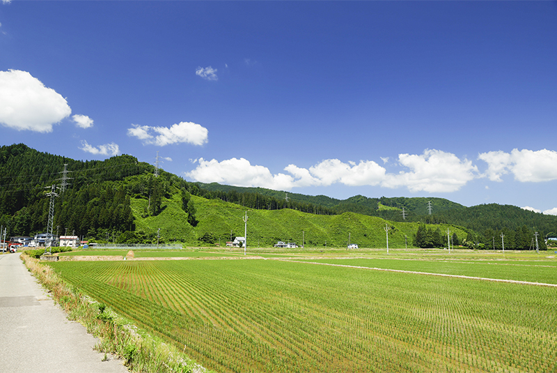 山とともに、未来へ。—— 8月11日は「山の日」